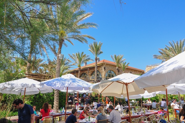 Edde Sands on Sunday